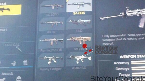 Call_of_duty_ghosts_assault_rifle