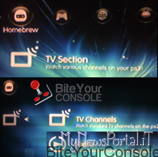 tvsection